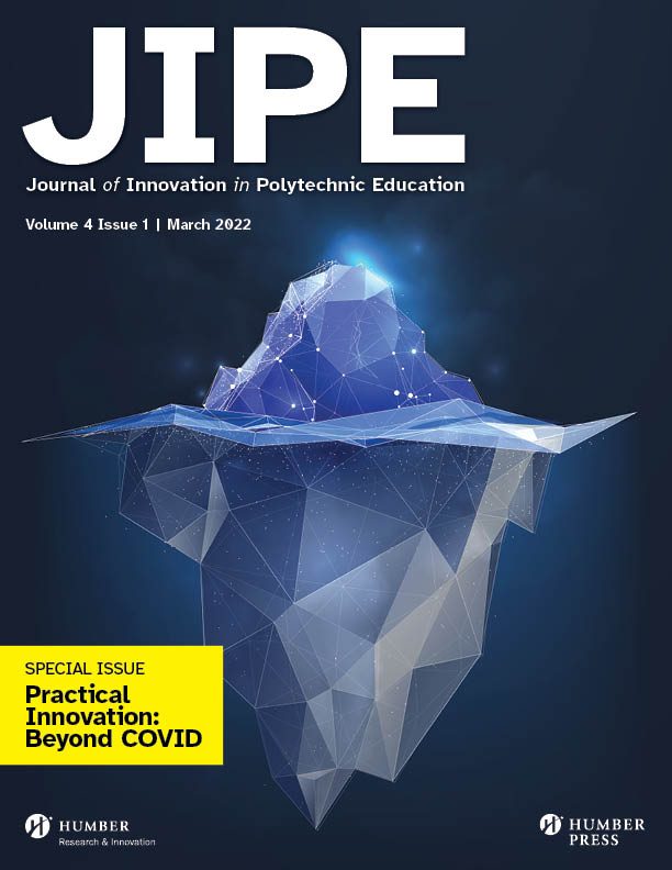 JIPE Volume 4 Issue 1 Cover, Digital image of Iceberg